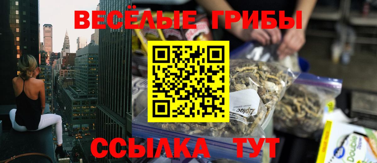 Псилоцибиновые грибы Cubensis  Вход с VPN  купить  сайты  Сегежа 